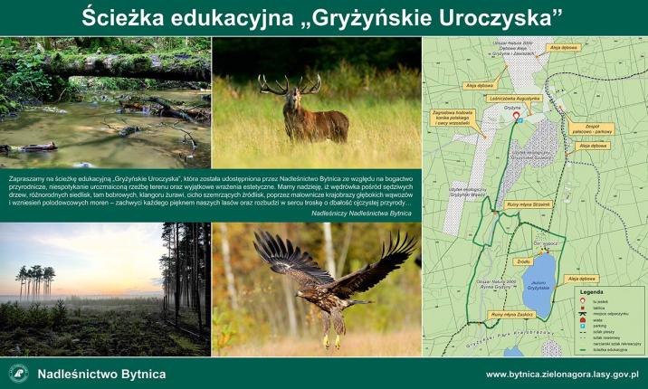 Ścieżka edukacyjna - Gryżyńskie Uroczyska