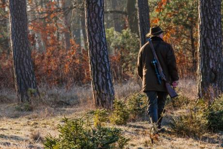 Przetarg na sprzedaż polowań w sezonie łowieckim 2026/2027